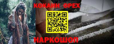 спайс Коммунар