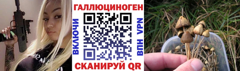 Псилоцибиновые грибы прущие грибы  Одинцово 