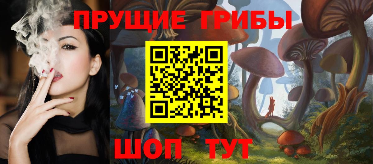Одинцово  Псилоцибиновые грибы Cubensis  Вход с VPN 